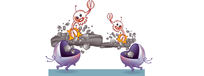 digieren las mol�culas de suciedad